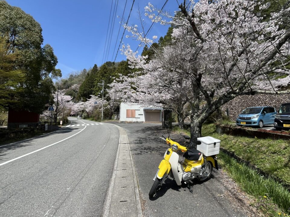 川代公園とスーパーカブ