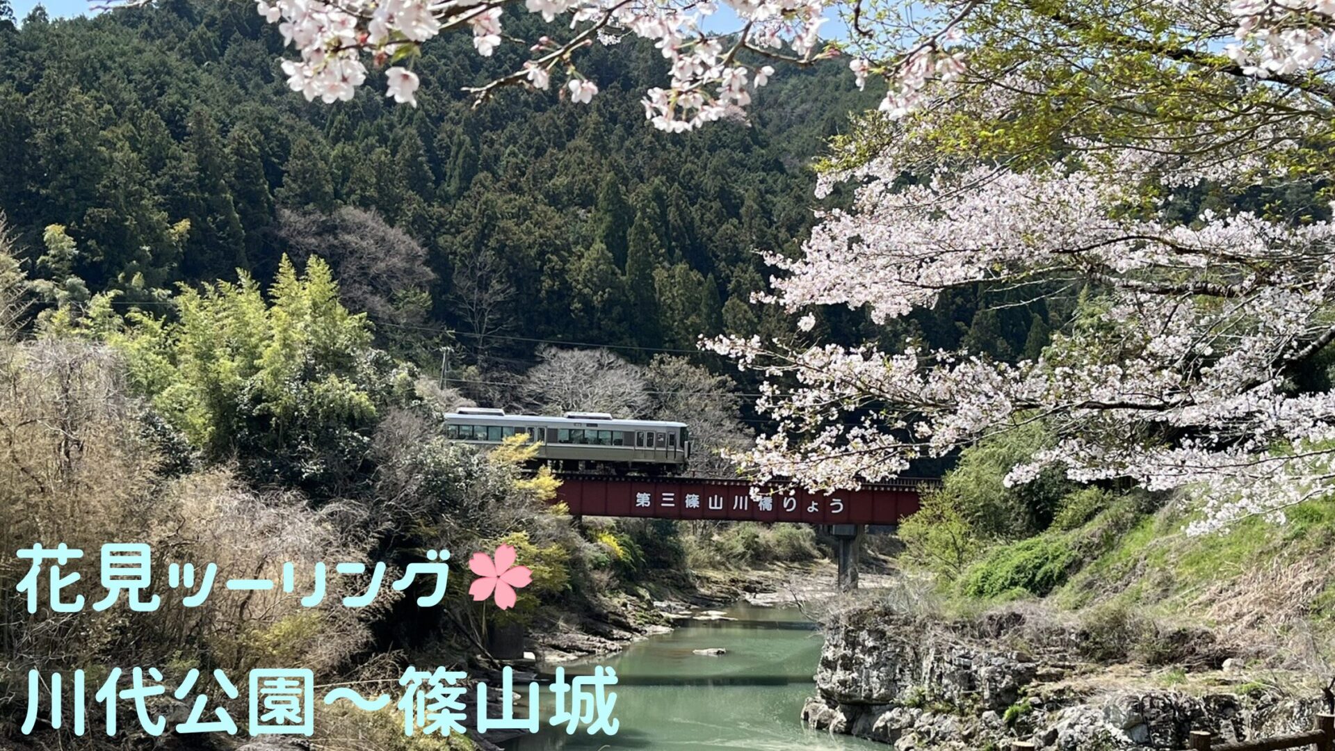 お花見 川代公園