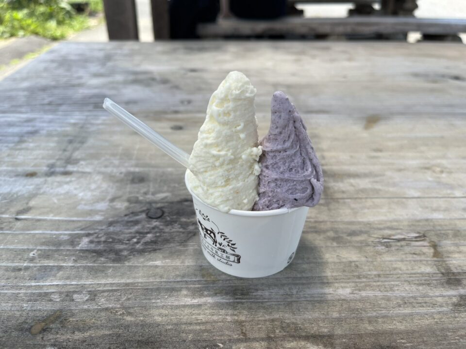 道の駅「美山ふれあい広場」にある「美山のめぐみ牛乳工房」で注文したダブルのジェラート