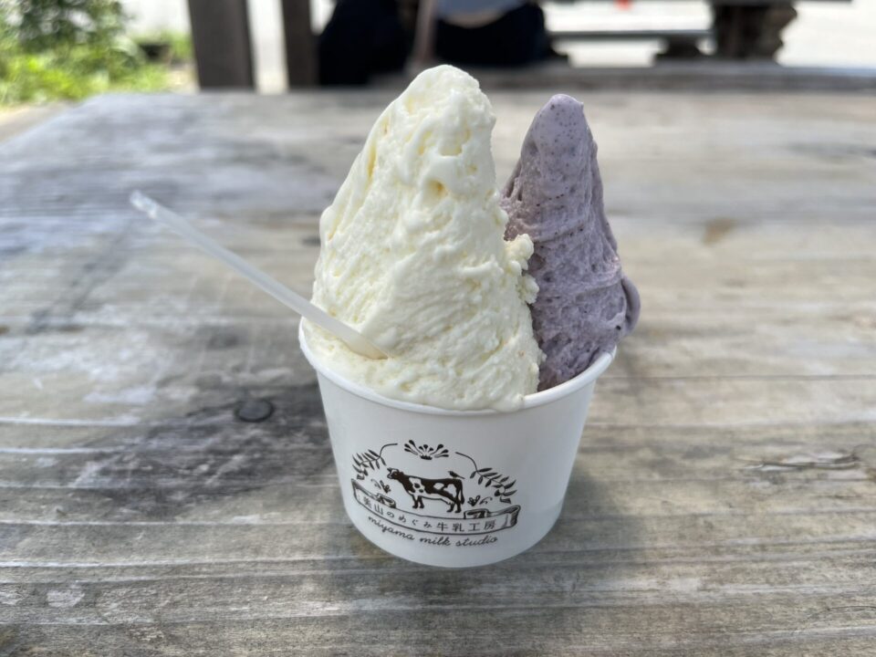 道の駅「美山ふれあい広場」にある「美山のめぐみ牛乳工房」で注文したダブルのジェラート