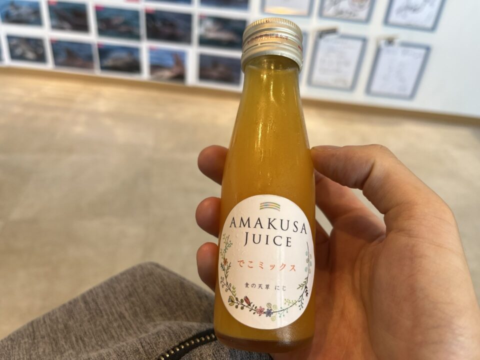 道の駅「イルカセンター」で注文したでこぽんのミックスジュース