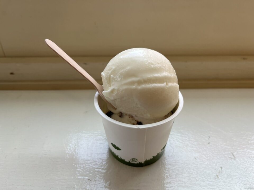 「高橋牧場 ニセコミルク工房」で注文した、ミルクとチョコチップのアイスクリーム
