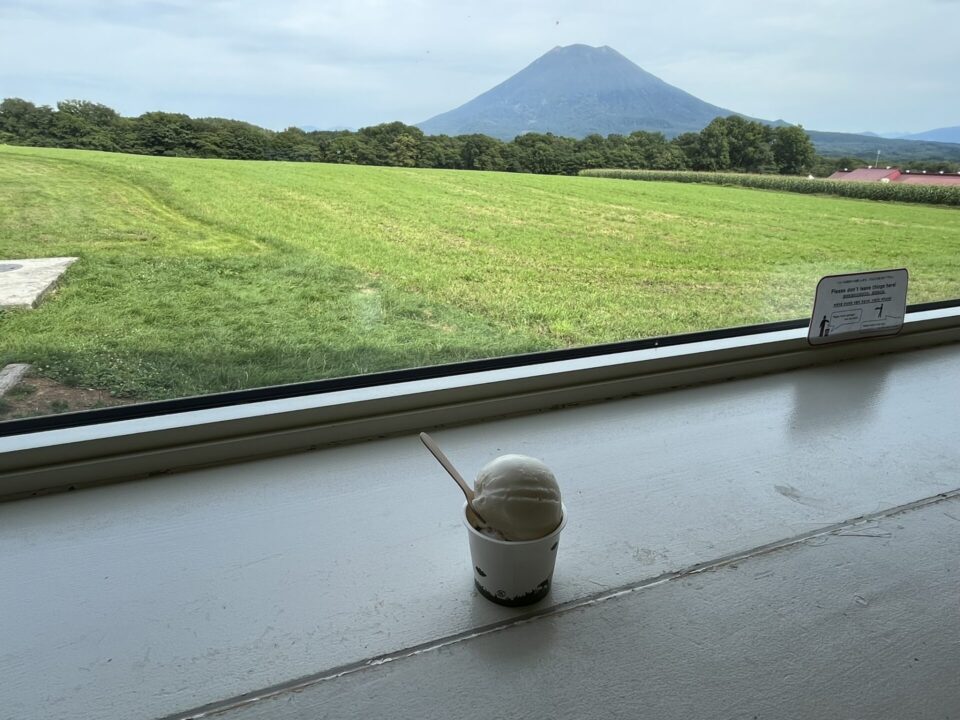 「高橋牧場 ニセコミルク工房」で注文した、ミルクとチョコチップのアイスクリーム