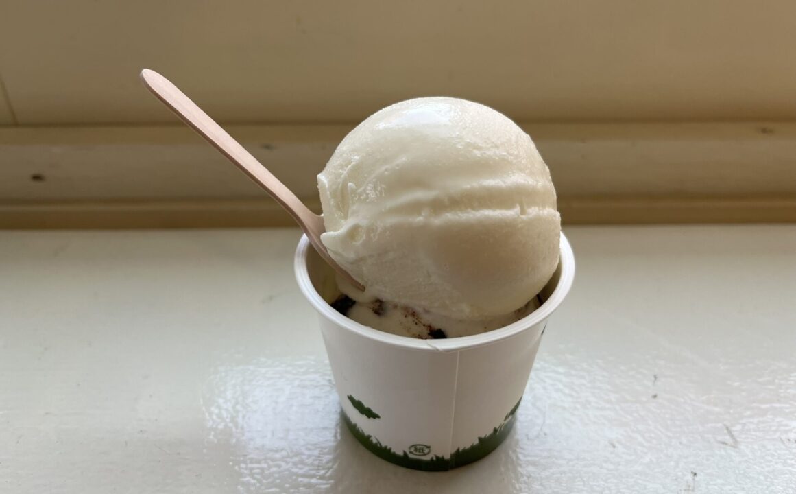 「高橋牧場 ニセコミルク工房」で注文した、ミルクとチョコチップのアイスクリーム