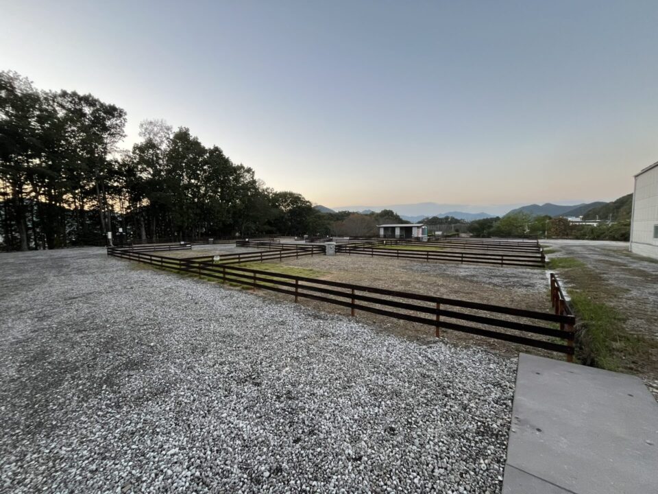 「日本のへそ キャンプ場」 オートサイト