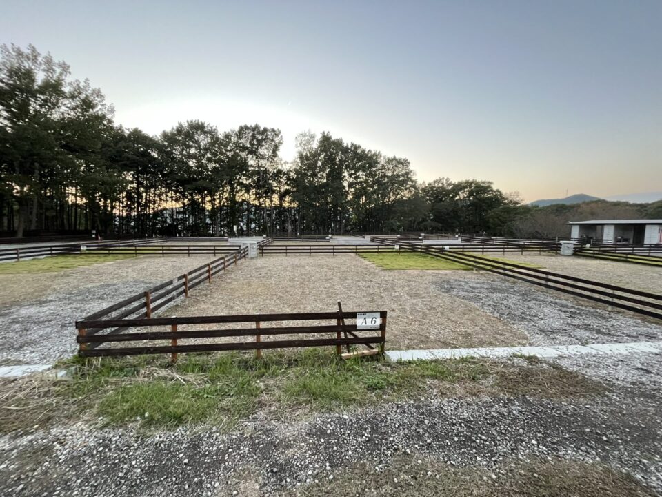 「日本のへそ キャンプ場」 オートサイト