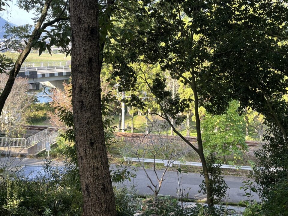 日本のへそ キャンプ場」 ソロサイト S3