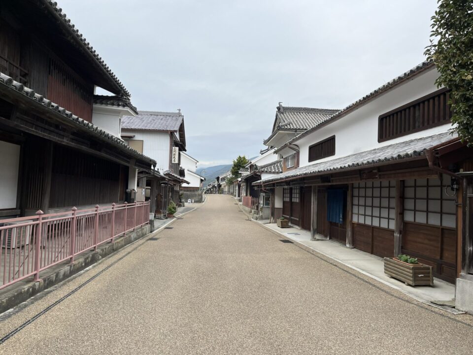 徳島県 江戸時代から昭和初期にかけて建てられた建造物が立ち並ぶエリア「うだつの町並み」