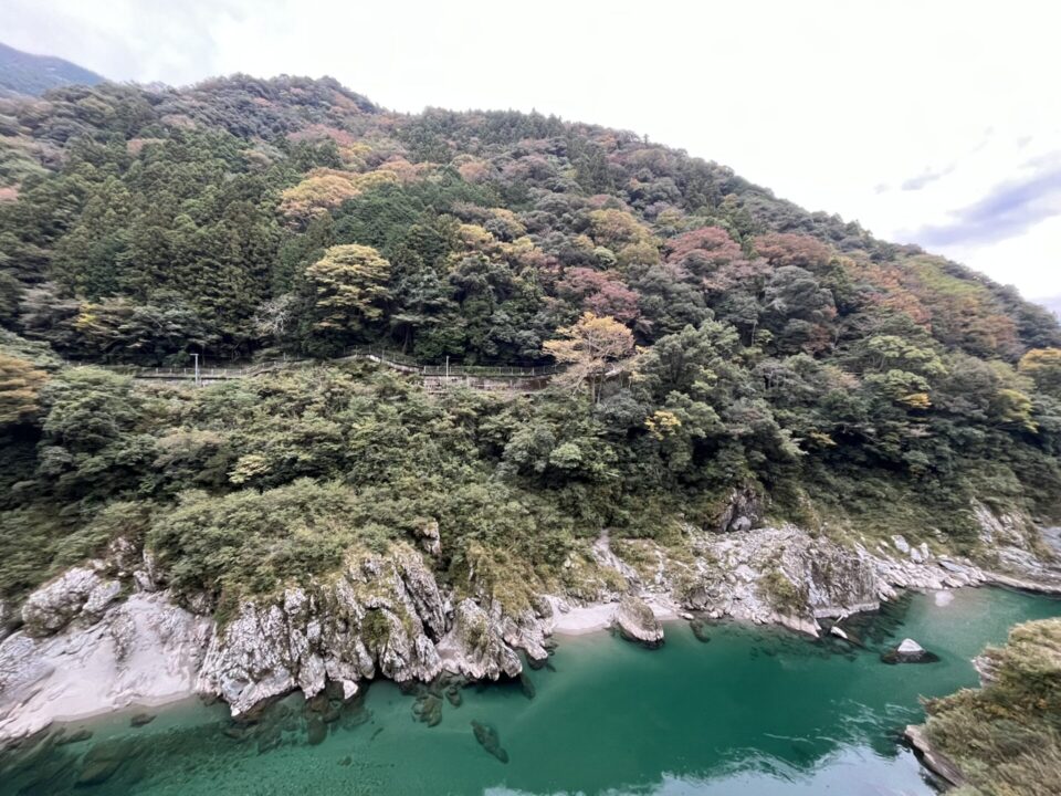 道の駅「大歩危」 吉野川渓谷