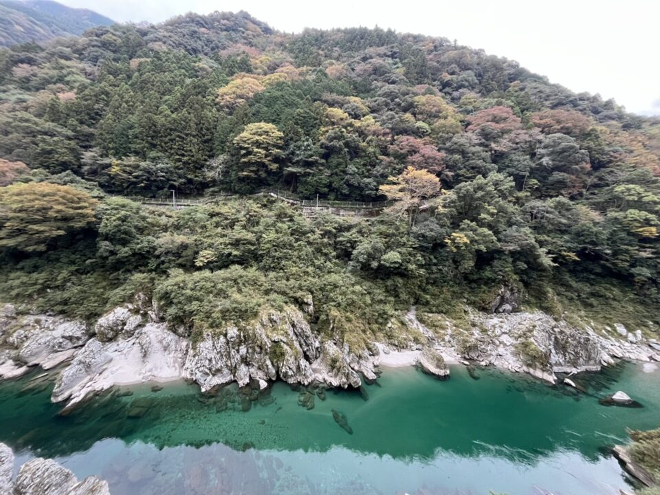 道の駅「大歩危」 吉野川渓谷