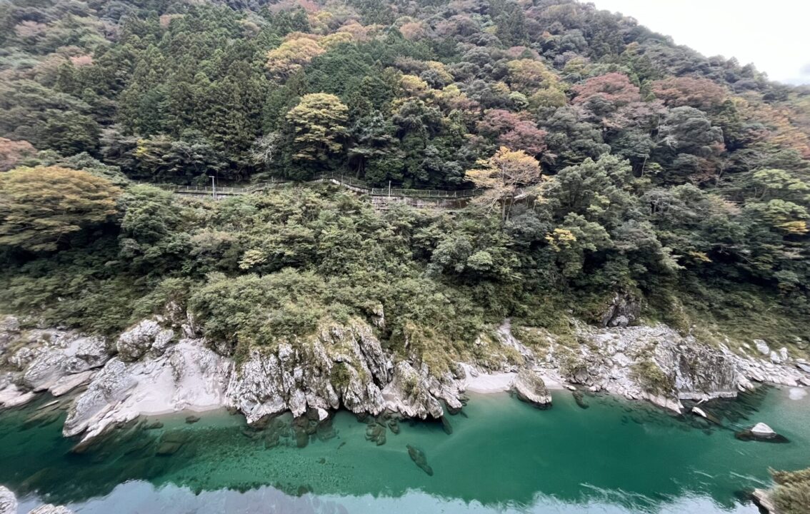 道の駅「大歩危」 吉野川渓谷