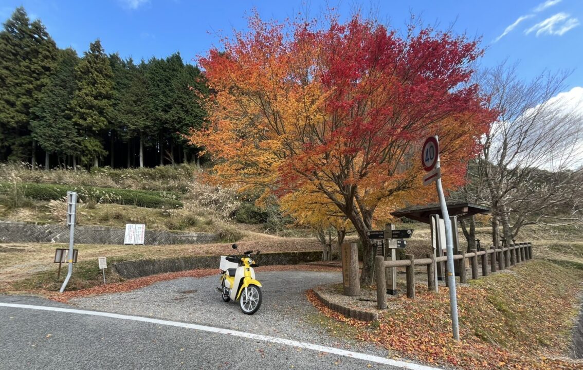 スーパーカブ110【JA59】 レビュー記事 紅葉とカブの写真