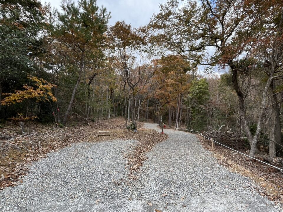 スーパーカブ110【JA59】 レビュー記事 やはずの森倶楽部