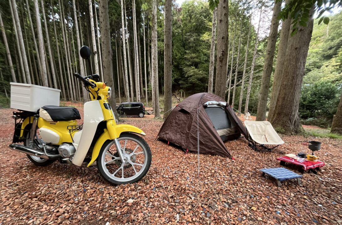 スーパーカブ110【JA59】 レビュー記事 TASTE HOUSE ZEN