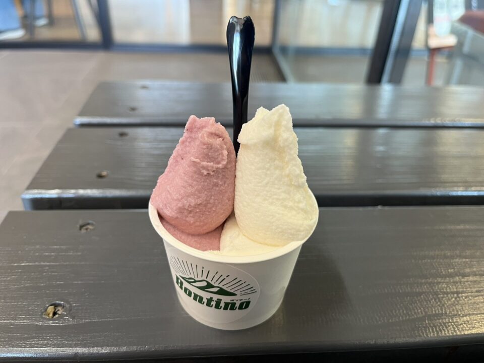 道の駅「都城NiQLL」　日向夏とみかんのジェラート