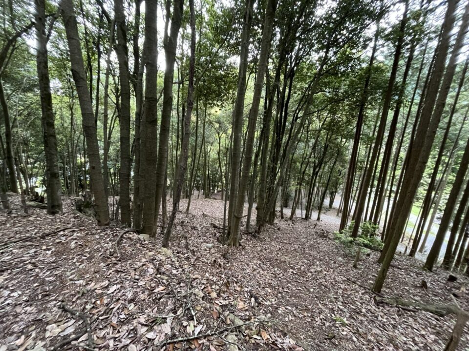 KAWAI VILLAGE 山の斜面