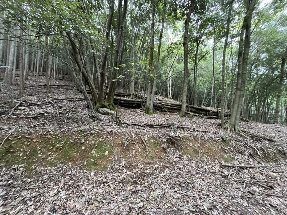 KAWAI VILLAGE 山の斜面